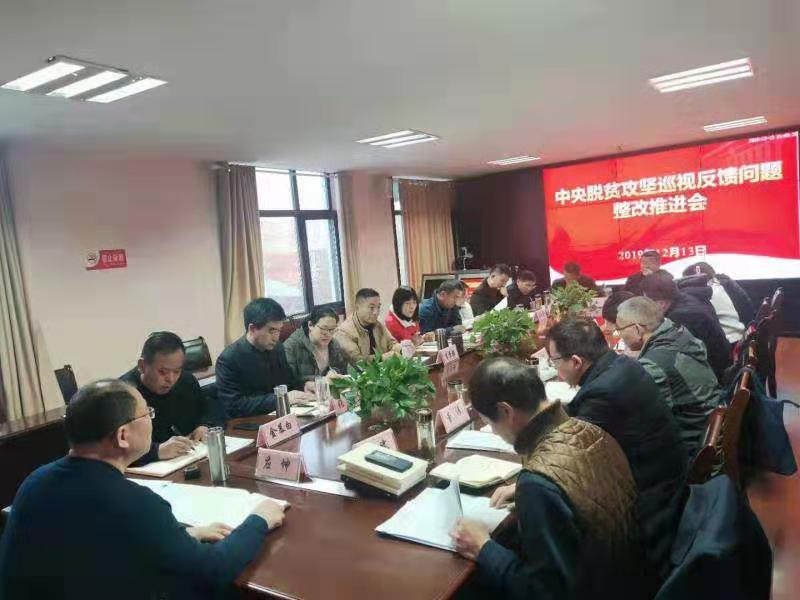 安徽潁州區(qū)王店鎮(zhèn)召開中央脫貧攻堅巡視反饋問題整改推進會