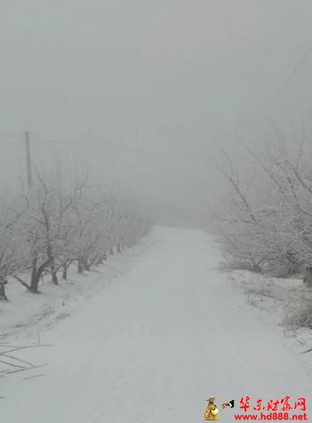 三月，村莊剛剛下起了雪（外一首）