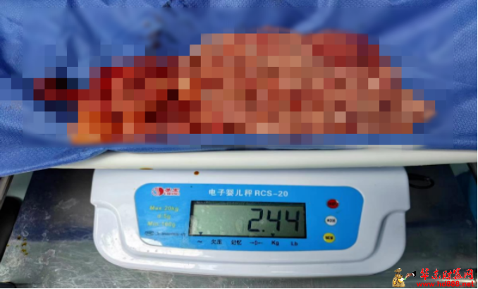 微信圖片_20250311203449.png