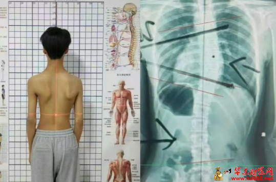 微信圖片_2025-07-24_103043_520.png
